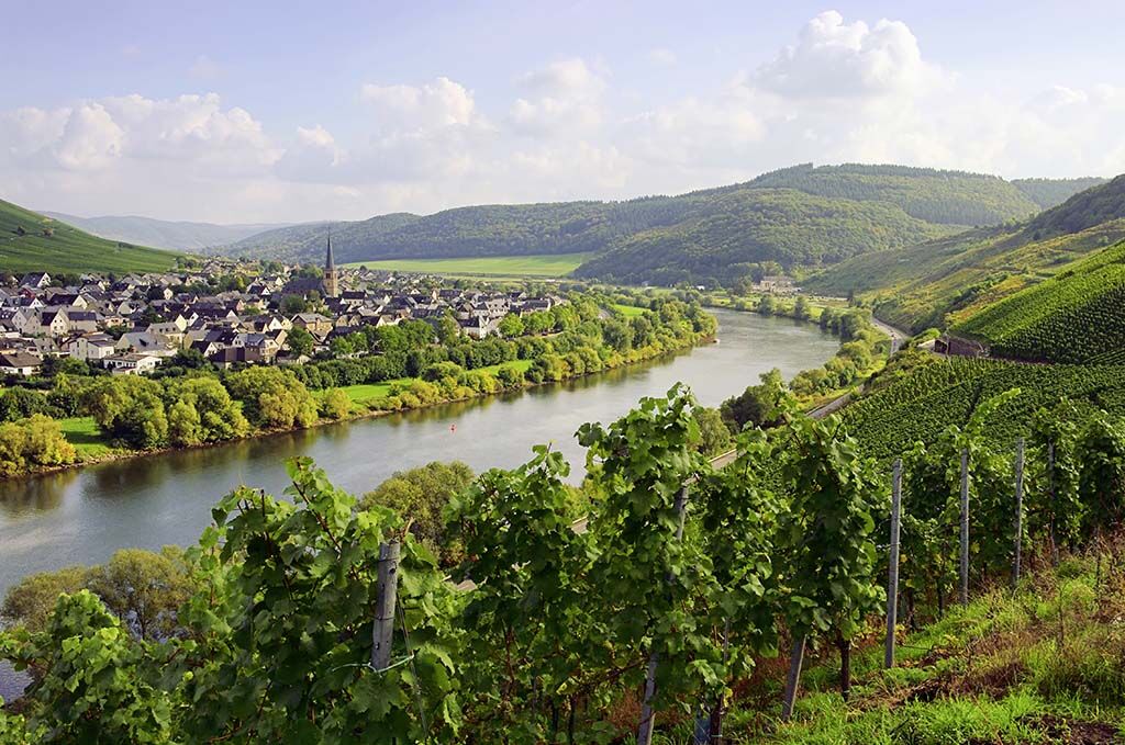deutsche Weinberge