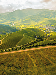 Weingut Siegbert Bimmerle